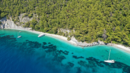 Obraz premium Aerial drone photo of breathtaking secluded turquoise beaches of Ftelia and Megalo Pefko in island of Skopelos, Sporades, Greece
