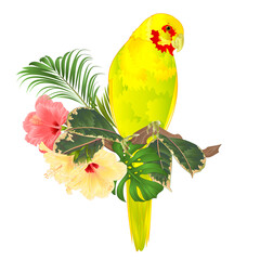 Parrot in Yellow bird Indian Ringneck Parrot alexander in Yellow on branch with tropical flowers hibiscus, palm,philodendron watercolor on a white background vintage vector i