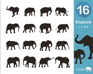 Elephant flat icon set