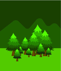 Green pine tree forest