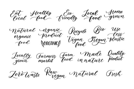 Pack Of Eco Lettering Designs. Modern Calligraphy Ecological Quotes.