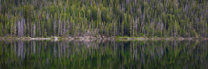Obraz premium Panorama of the trees reflected in the waters of hell roaring lake in the sawtooth mountain range of central Idaho