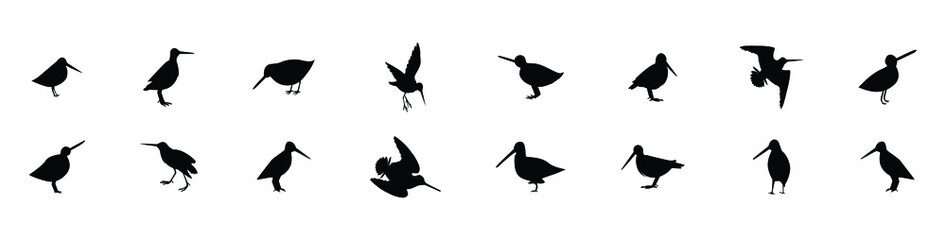 a set of common snipe drum silhouettes. vector illustration - obrazy, fototapety, plakaty