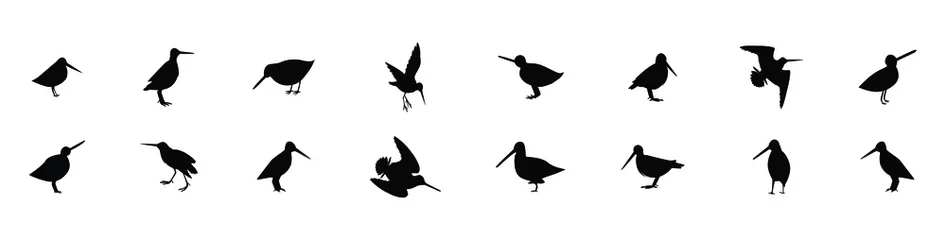 a set of common snipe drum silhouettes. vector illustration © eny