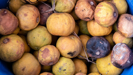 Rotten lemons in the floor