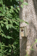 A bird house in a tree