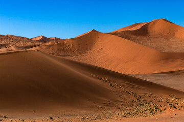 Fototapeta na wymiar sunset over giant orange sand dunes blue sky . African desert