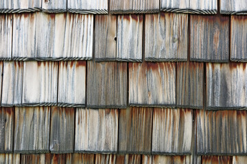 Holzschindeln - wood shingles