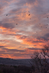 Beautiful sunrise in a forest with a cloudy sky.Pink and Orange colored clouds. beautiful nature. Multicolored sky