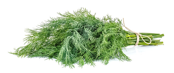 Lying bunch of dill tied with brown twine isolated on white background