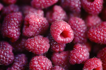 Raspberry berries close up. Macro. Can be used as a background.
