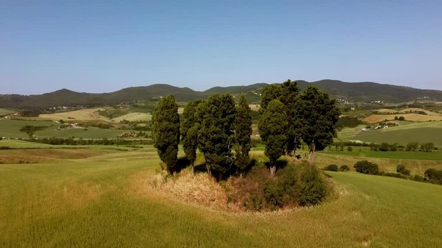 Cypresses in a circle View from the drone Orciano Pisano Tuscany