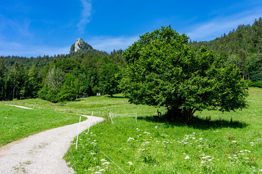 Urlaub in Bayern: Wanderung auf den Leonhardstein von Kreuth aus