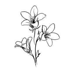 Flower line art. Minimalistic contour drawing. Line art work. Han drawn flower illustration