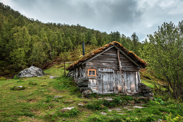 Fototapeta na wymiar classic Scandinavian hut with grass roof