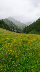 Fototapeta na wymiar flowers and village in the mountains