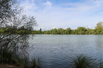 Fototapeta na wymiar Charente-Maritime - Aigrefeuille - Lac de Frace