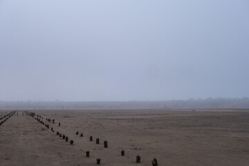 Dried bottom of a salt lake on a foggy morning. Remains of an old wooden pier. Logs sticking out of the sand.