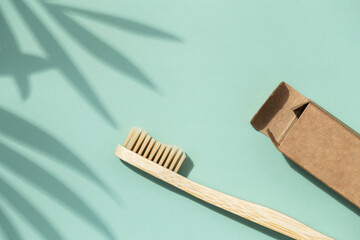 Bamboo toothbrush on mint background.