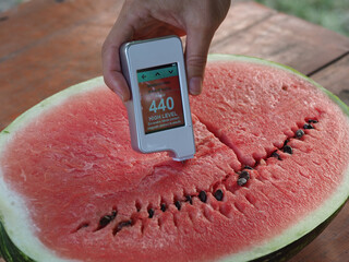 measuring the concentration of nitrates in watermelon using a nitrate tester