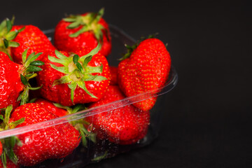 Strawberry close-up in a plastic container on a black background. Fresh juicy strawberries in selective focus. The harvest of strawberries. Berries with water droplets. Garden strawberries in the sun.