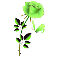 Obraz premium Rose with a butterfly in a light green color.