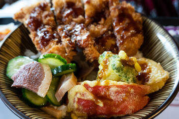 japanese tonkatsu rice