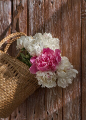 Flowers of pink red and white peonies in wicker basket on wooden table against wooden background