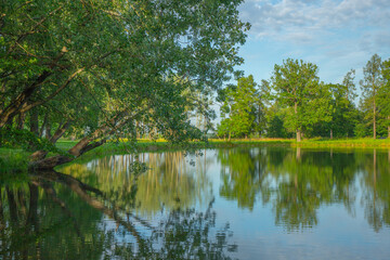 Fototapeta na wymiar pond in the Park