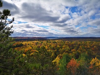 Autumn in Algonquin park