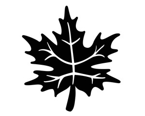 Maple Leaf - Black vector silhouette for pictogram or logo. Maple leaf silhouette - sign or icon.