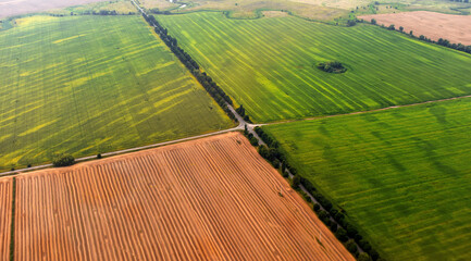 Aerial photo of agricultural land in summer