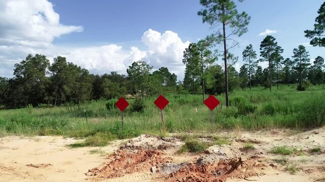 A dead-end road leads to a pine scrub forest.