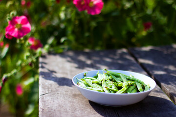 Pods of green peas in a white bowl on an old wooden table in the garden on a background of flowers and green foliage, vegan food and healthy organic food concept. Summer morning in the garden.