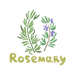 Rosemary sprigs. Rosemary herb and spice vector funny clipart illustration. Elegant drawings of rosemary plants with flowers. Botanical vector illustration, rosemary branch. Cute flat design style