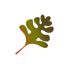Falling leaves natural background. Isolated leaf illustration element. Autumn leaf on a white background. Illustration for web, print on clothes and on paper. Autumn oak leaf with gradient.
