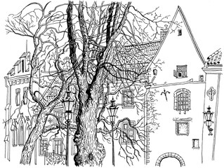 Tallinn Old Town view. Olevimagi street. Hand drawn graphic style ink pen illustration. Historical architecture, medieval houses, trees. Baltic states landmark. Postcard, coloring page.
