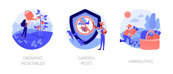 Home gardening abstract concept vector illustration set. Growing vegetables, garden pests, harvesting, planting in ground, organic food, container garden, plant insects, pesticides abstract metaphor.