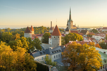 Fototapeta na wymiar Tallinn city wall and St. Olaf's Church top view