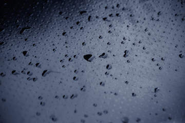 
Water droplets perched on the black seat