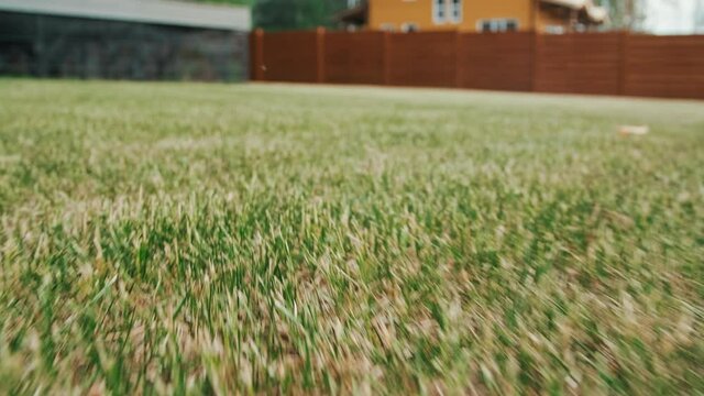 Tracking close up shot of green lawn in backyard of house with wooden fence