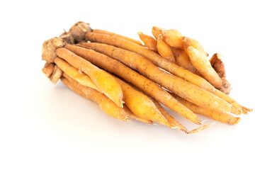 close up of Krachai or finger root an ingredient for seasoning and aromatic for Thai cooking, isolated on white background with copy space for text.
