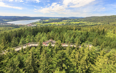 Naklejka premium View from Stezka korunami tree path to Lipno nad Vltavou in Czech Republic