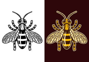 Honey bee two styles black and colorful vector
