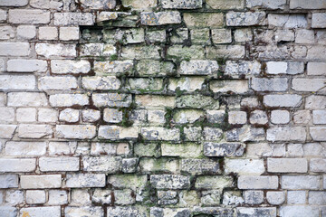 Background of brick wall texture