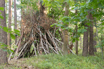 hut made of tree branches