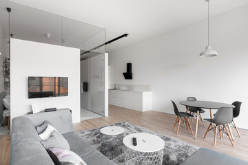 Stylish white apartment