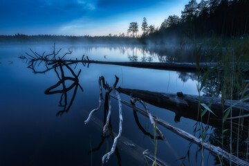 Tentacles. White nights in northern Karelia. Between sunset and dawn, a little more than two hours