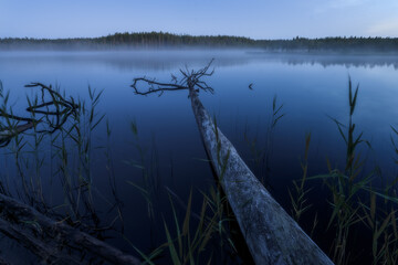 White nights in northern Karelia. Between sunset and dawn, a little more than two hours