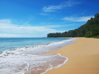 Empty tropical beach with blue sky, green forest on a coastline. White clouds, azure sea, cerulean heaven, bright greenery, yellow sand. Waves, water, foam of wave on a sandy shore. Tropical paradise